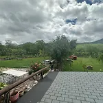 Vila Disha