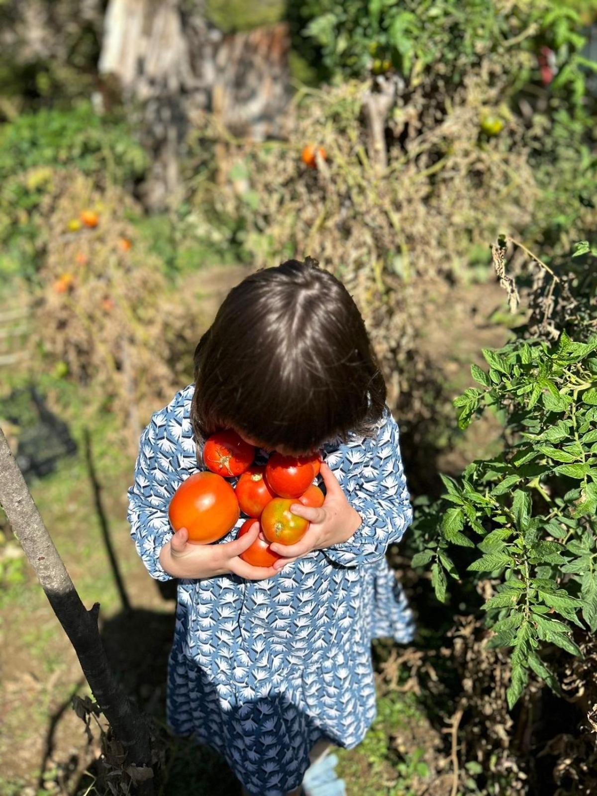 Disha * Tirana