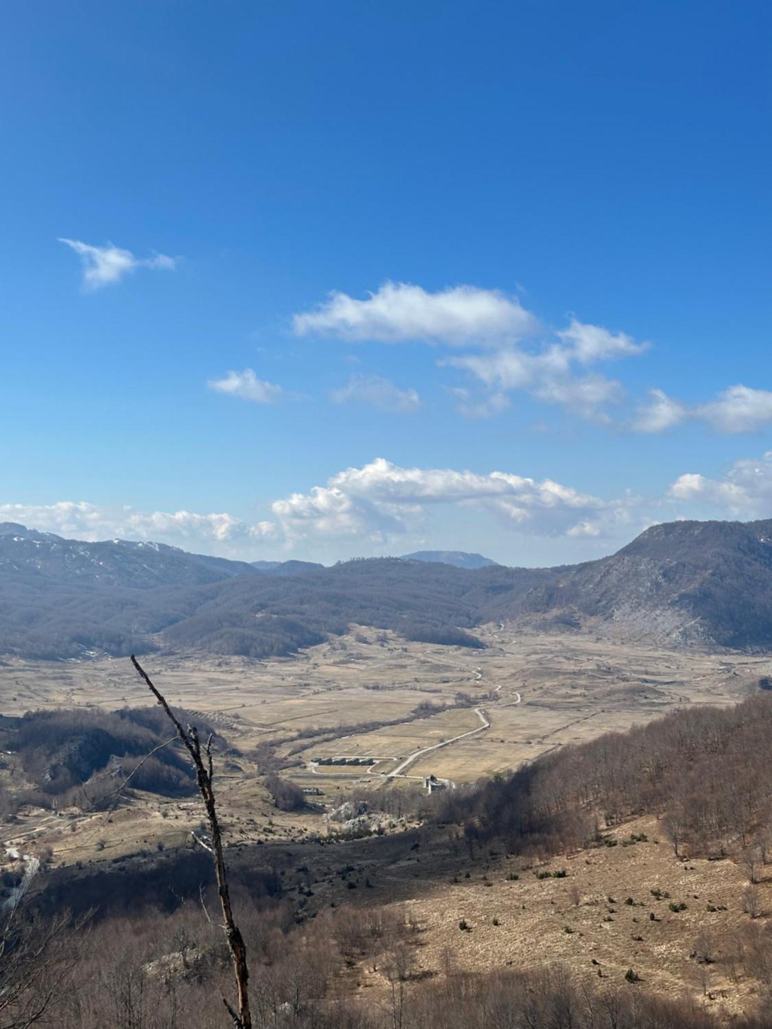 Disha Lodge Tirana